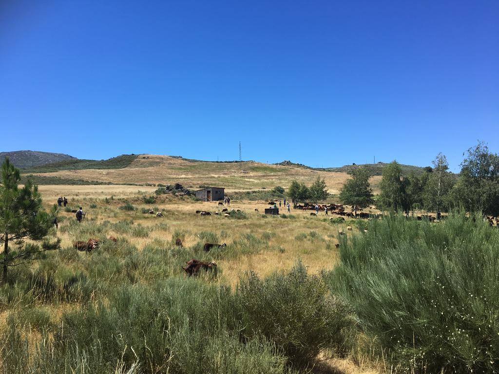 Вилла Casas Do Soito Сейя Экстерьер фото